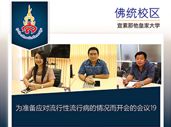 为准备应对流行性流行病的情况而开会的会议19